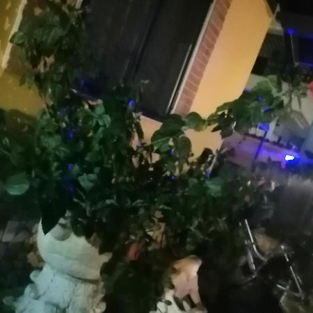 Eneahouse Ξενοδοχείο Φιουμιτσίνο Εξωτερικό φωτογραφία