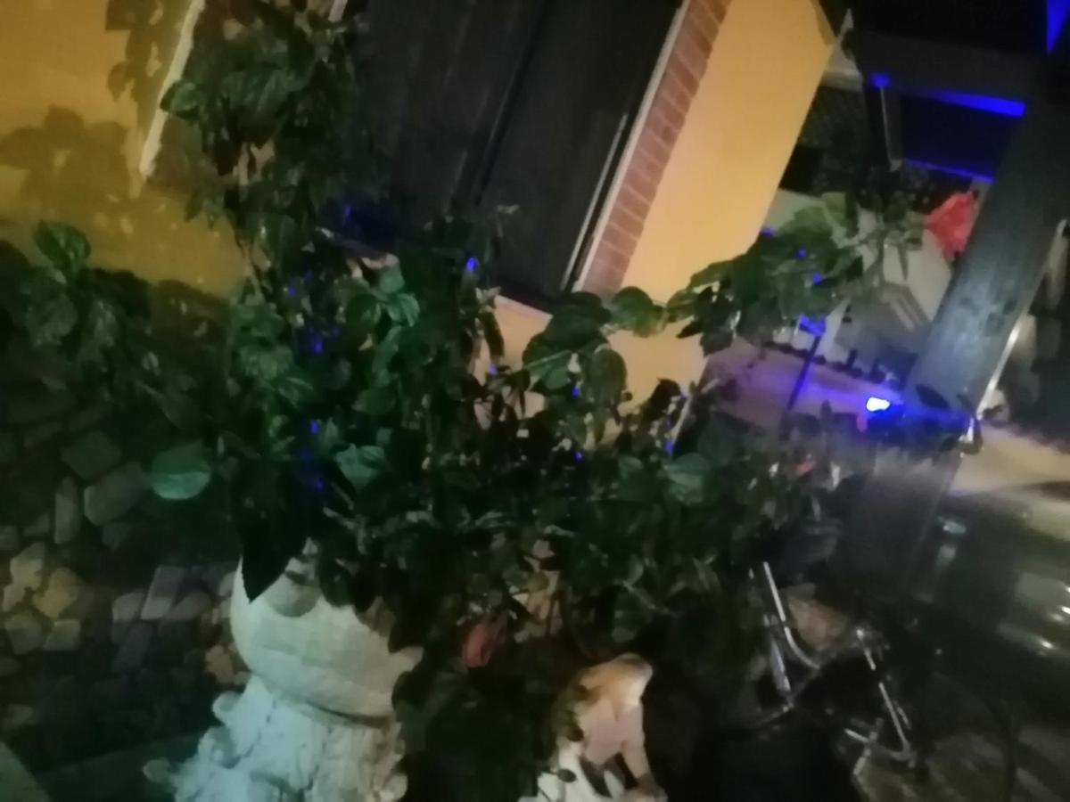 Eneahouse Ξενοδοχείο Φιουμιτσίνο Εξωτερικό φωτογραφία